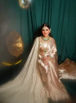 Moon Light Sarree - Image 2