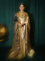 Moon Light Sarree - Image 3