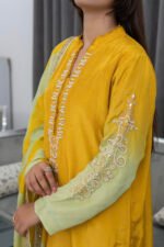 Noor-e-zard - Image 2
